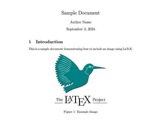 Latex to Word With images